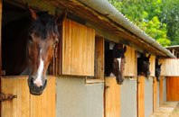 free Llwyndafydd stable construction quotes